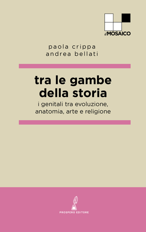 Tra le gambe della storia-image
