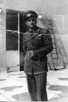 Falco-3